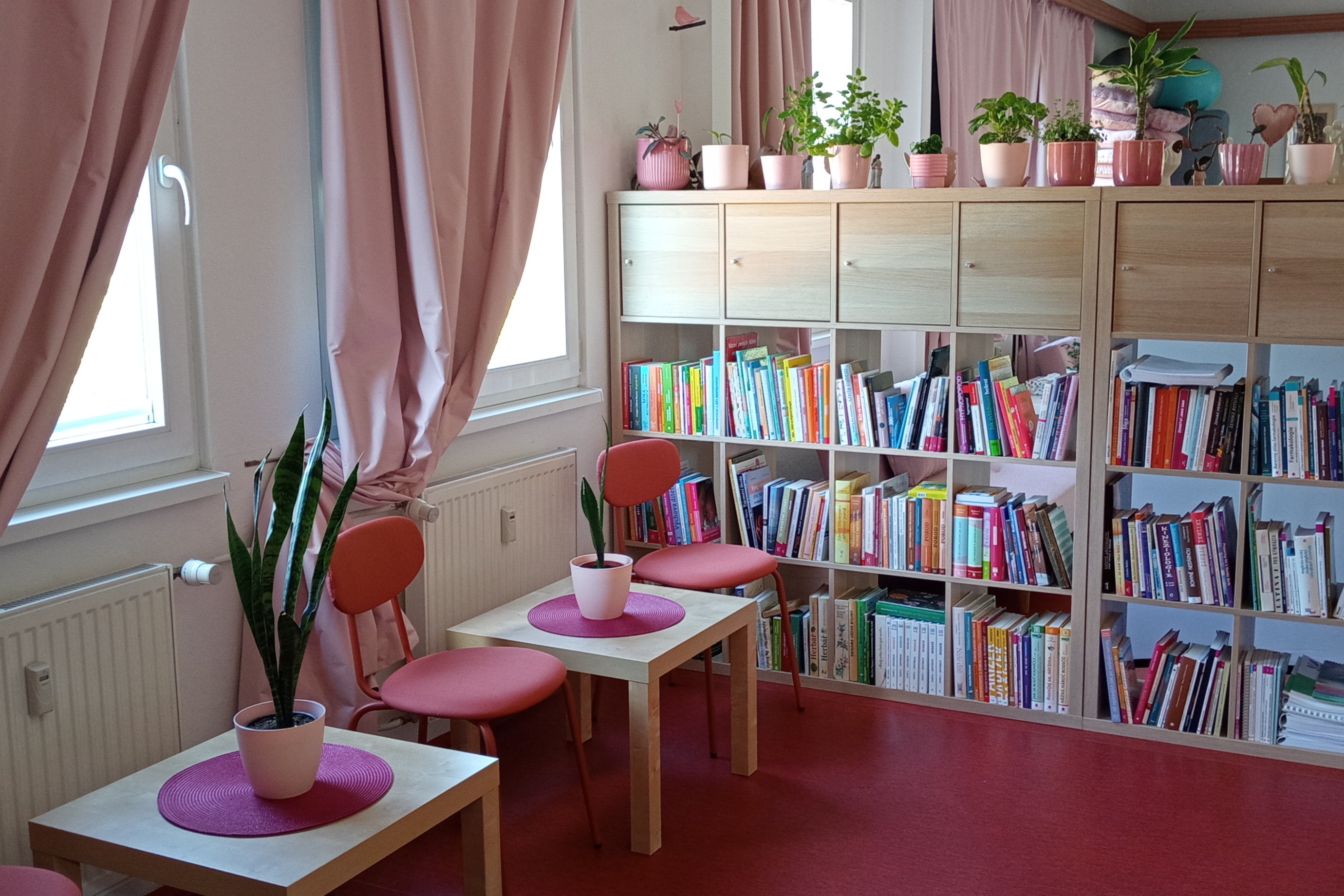 Naše prostory - foto 7