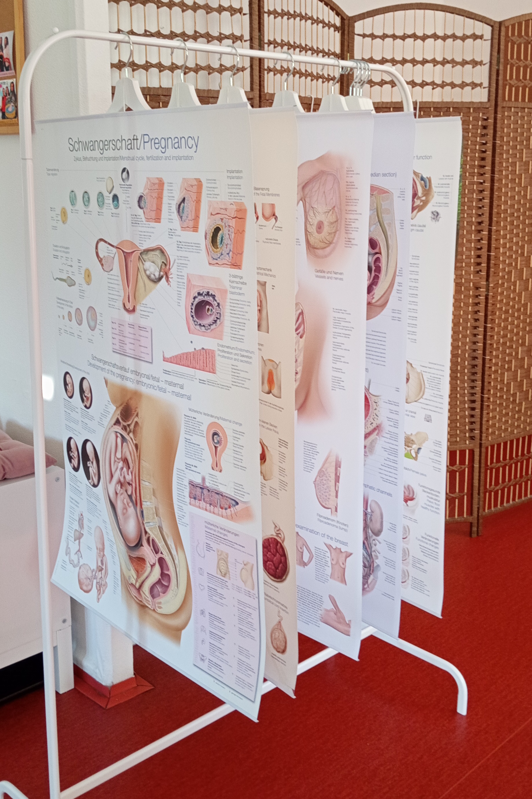 Naše prostory - foto 10